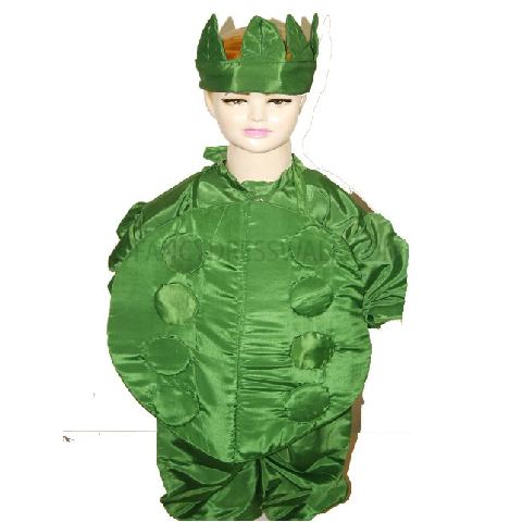 Peas Costume for boys and Girls for Fancy dress competitions