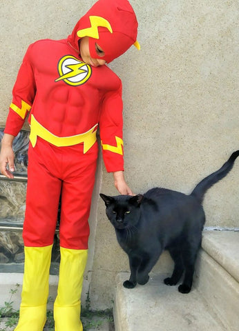 Flash Superhero Muscle costume for kids
