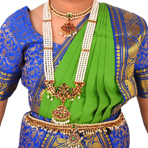 Bharatnatyam dress Blue and Green for Fancy Dress/Costume Competitions/School Events/Annual Functions