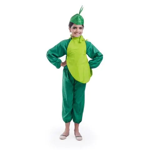 Bottle Gourd vegetable dress for boys and Girls for Fancy dress competitions Fancydresswale
