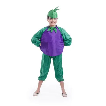 Brinjal dress for boys and Girls for Fancy dress competitions Fancydresswale