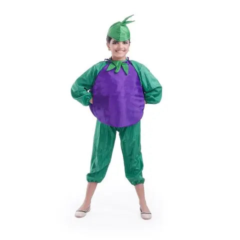 Brinjal dress for boys and Girls for Fancy dress competitions Fancydresswale