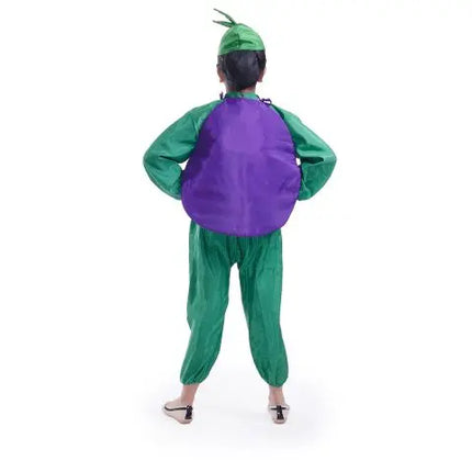 Brinjal dress for boys and Girls for Fancy dress competitions Fancydresswale