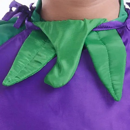 Brinjal dress for boys and Girls for Fancy dress competitions Fancydresswale