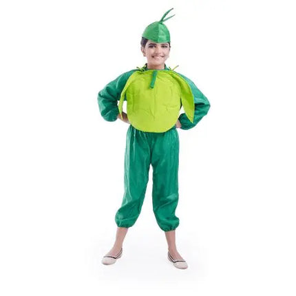 Cabbage Costume for boys and Girls for Fancy dress competitions Fancydresswale