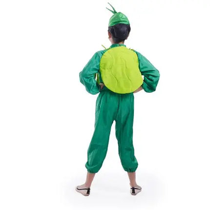Cabbage Costume for boys and Girls for Fancy dress competitions Fancydresswale