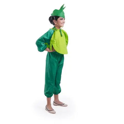 Cabbage Costume for boys and Girls for Fancy dress competitions Fancydresswale