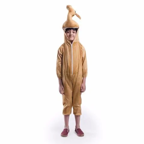 Camel Costume For Kids Fancydresswale.com