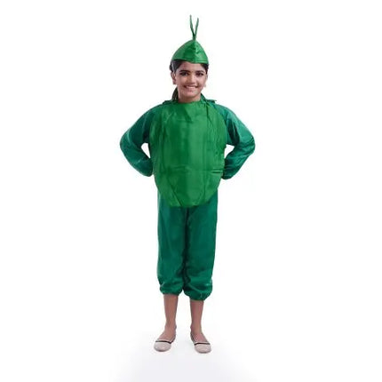 Capsicum Costume for boys and Girls for Fancy dress competitions Fancydresswale