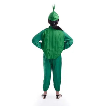 Capsicum Costume for boys and Girls for Fancy dress competitions Fancydresswale