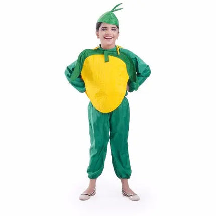 Corn dress for boys and Girls for Fancy dress competitions Fancydresswale