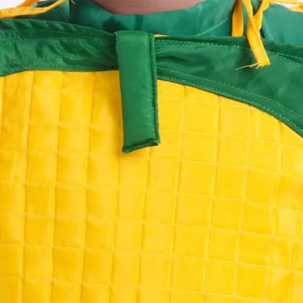 Corn dress for boys and Girls for Fancy dress competitions Fancydresswale