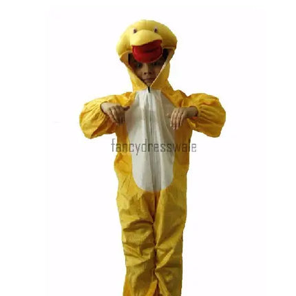 Duck Fancydresswale