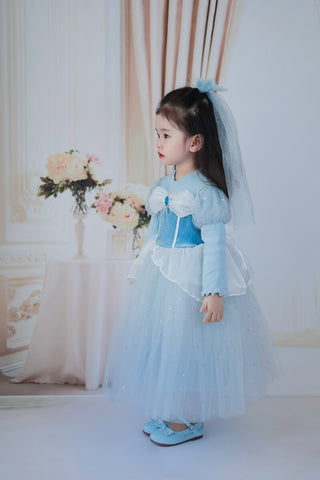 Fancydresswale Frozen Elsa Stylish dress for girls