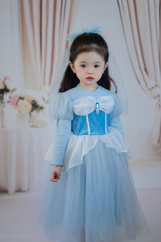 Fancydresswale Frozen Elsa Stylish dress for girls