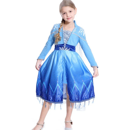 Elsa Girls Sequin Princess Costume Long Sleeve Dress up Birthday Dress with Set of 4 Accessories Fancydresswale
