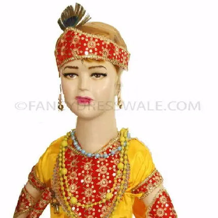 FancyDressWale Krishna Costume for Kids Fancydresswale