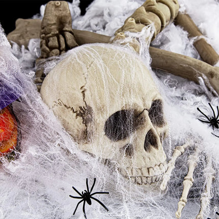 Fancydresswale Halloween Decoration Items for Halloween Party Supply (Spider Web- White) fancydresswale.com