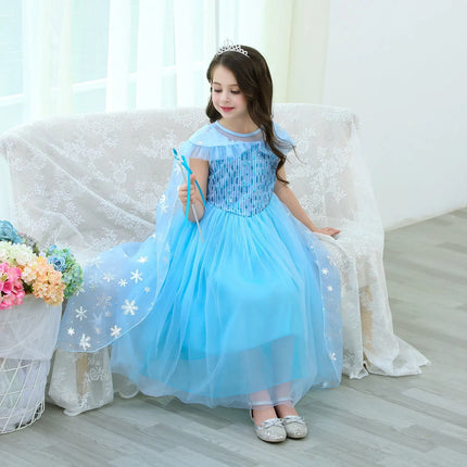 Fancydresswale Princess Elsa Party Dress with,Crown,Necklace,Earrings,Gloves Accessories 3-8 Years fancydresswale.com