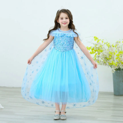 Fancydresswale Princess Elsa Party Dress with,Crown,Necklace,Earrings,Gloves Accessories 3-8 Years fancydresswale.com