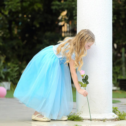 Fancydresswale Princess Elsa Party Dress with,Crown,Necklace,Earrings,Gloves Accessories 3-8 Years fancydresswale.com