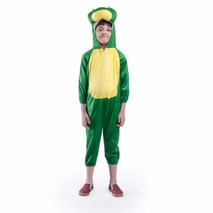 Frog Costume For Kids Fancydresswale