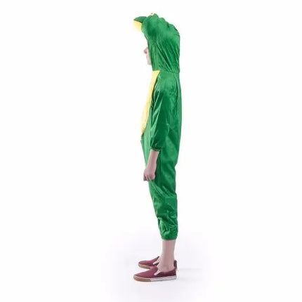 Frog Costume For Kids Fancydresswale