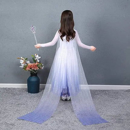 Frozen2 Elsa  costume  For Girls princess party dress up with Purple accessories Fancydresswale