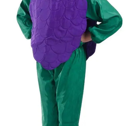 Grape Fruit Cutout with Cap for Girls and boys for Fancy dress competitions Fancydresswale