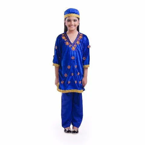 Kashmiri girl Costume Fancydresswale