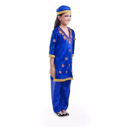 Kashmiri girl Costume Fancydresswale