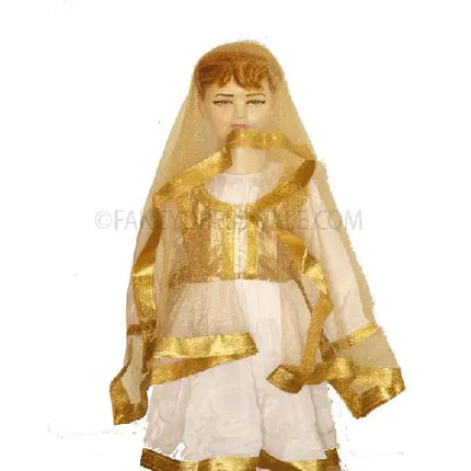 Katthak Costume Fancydresswale
