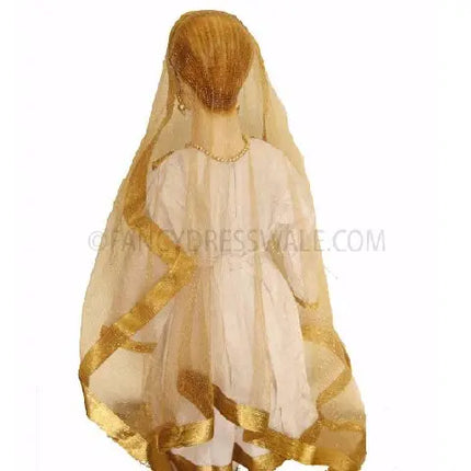 Katthak Costume Fancydresswale
