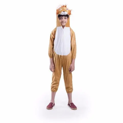Lion Costume for boys and Girls Fancydresswale.com