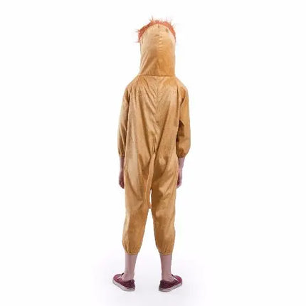 Lion Costume for boys and Girls Fancydresswale.com