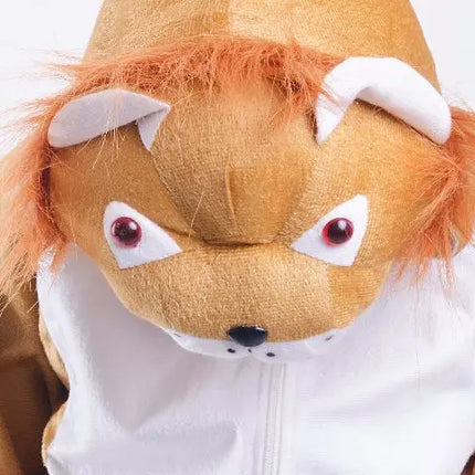 Lion Costume for boys and Girls Fancydresswale.com