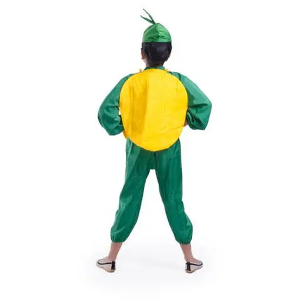Mango Costume for Boys and Girls for Fancy dress competitions Fancydresswale