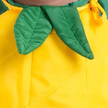 Mango Costume for Boys and Girls for Fancy dress competitions Fancydresswale