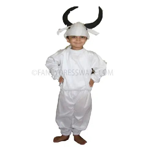 Ox Fancydresswale