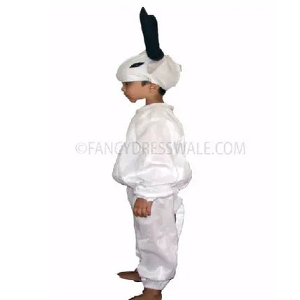 Ox Fancydresswale