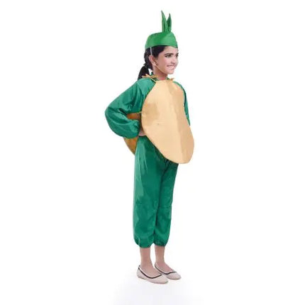 Potato vegetable dress for boys and Girls for Fancy dress competitions Fancydresswale