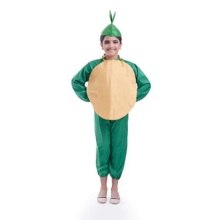 Potato vegetable dress for boys and Girls for Fancy dress competitions Fancydresswale