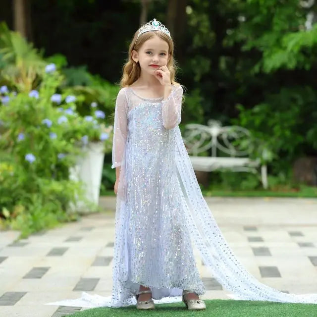 Princess Elsa Princess Birthday Party Dress for Little Girls with Crown,Wand,Gloves Accessories 3-12 Years,Silver fancydresswale.com