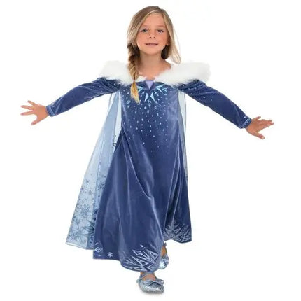 Princess inspired Elsa Princess costume for Girls with Snow Flake Accessories set Fancydresswale