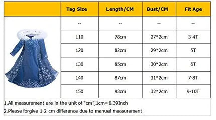 Princess inspired Elsa Princess costume for Girls with Snow Flake Accessories set Fancydresswale
