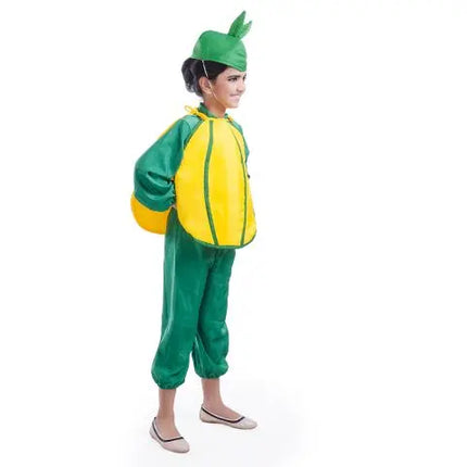 Pumpkin Fancydresswale