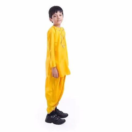 Punjabi Boy Fancydresswale