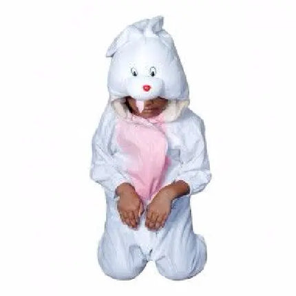 Rabbit Costume For Kids Fancydresswale.com