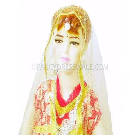 Radha Rani Costume Fancydresswale