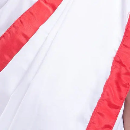 School Principal Saree Dress Costume For Girls Fancydresswale